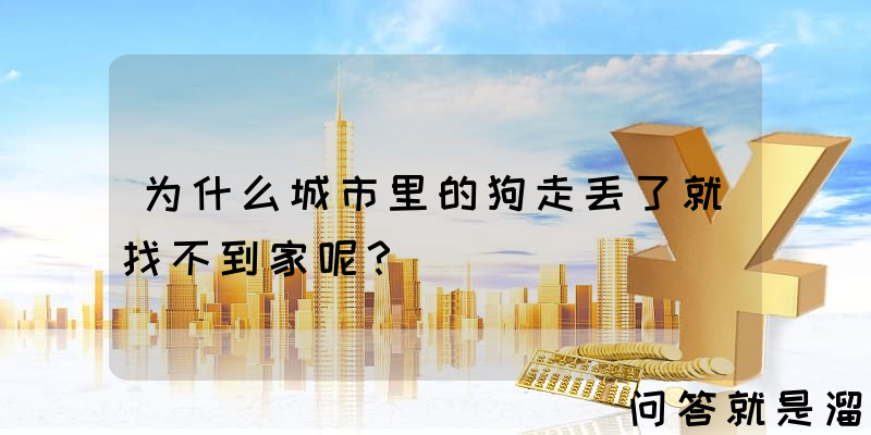 为什么城市里的狗走丢了就找不到家呢？