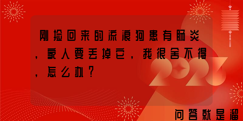 刚捡回来的流浪狗患有肠炎，家人要丢掉它，我很舍不得，怎么办？