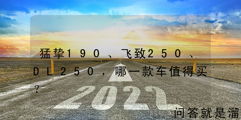 猛挚190、飞致250、DL250，哪一款车值得买？