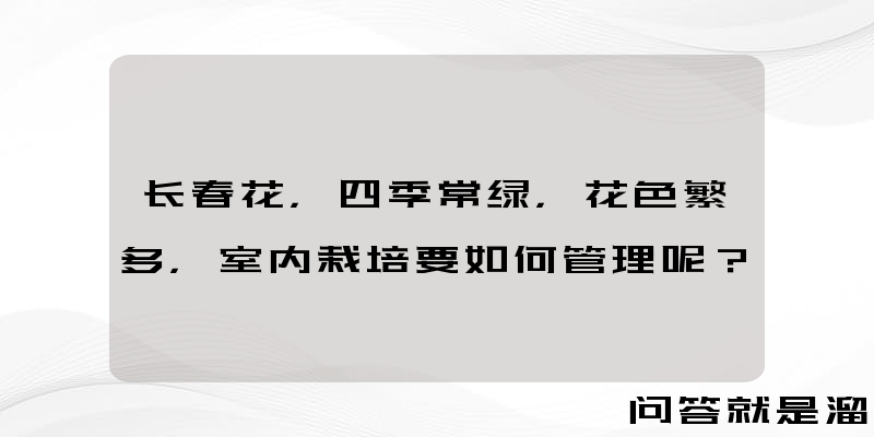 长春花，四季常绿，花色繁多，室内栽培要如何管理呢？